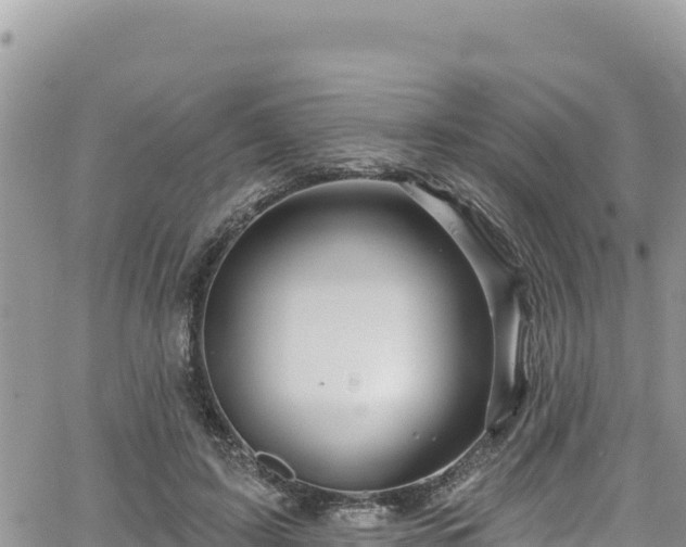 X0000065260595200602211252