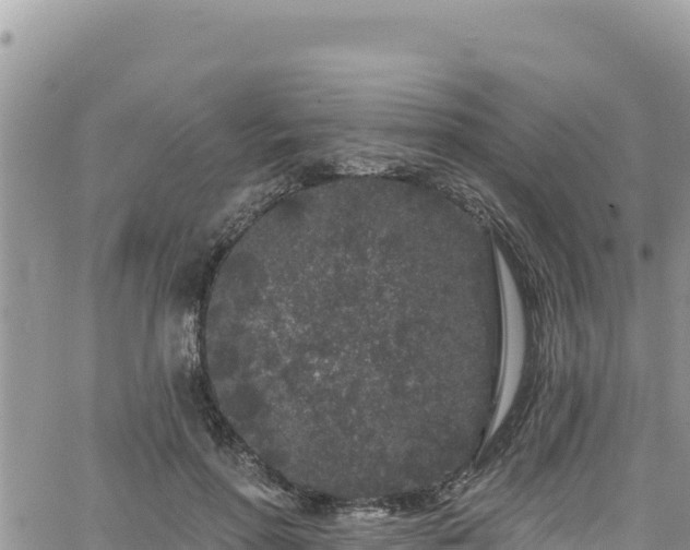 X0000065260598200602211252