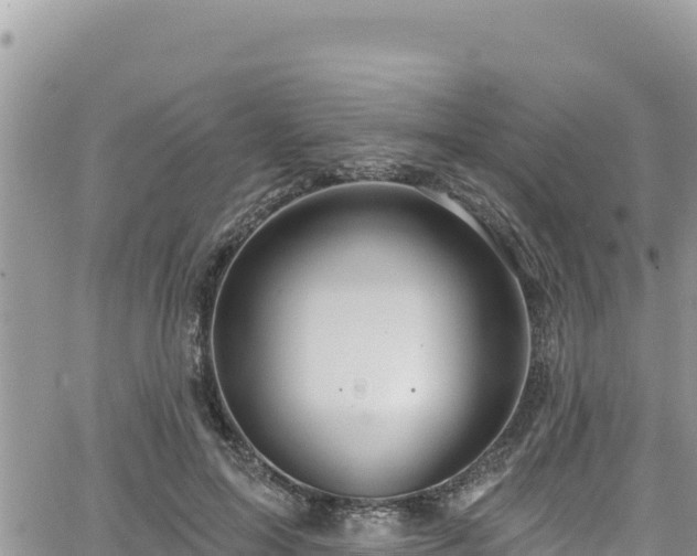 X0000065260599200602211252