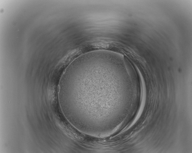 X0000065260600200602211252