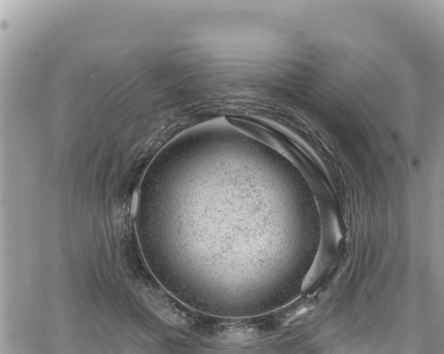 X0000065260601200602211252