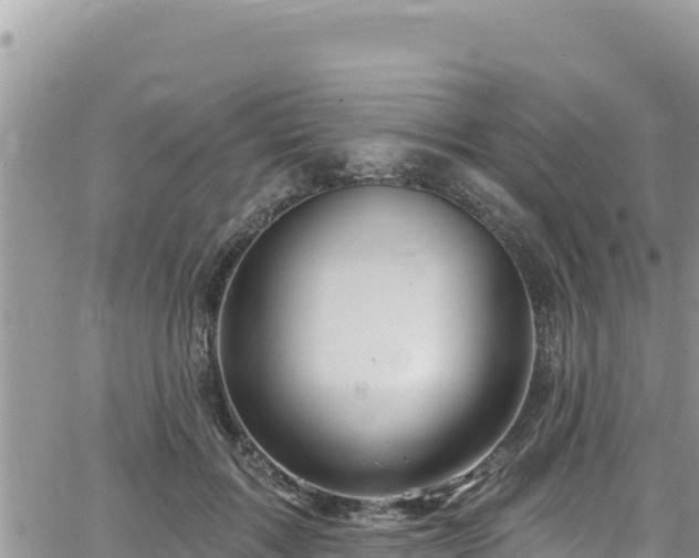 X0000065260603200602211252