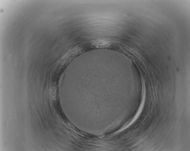 X0000065260604200602211252