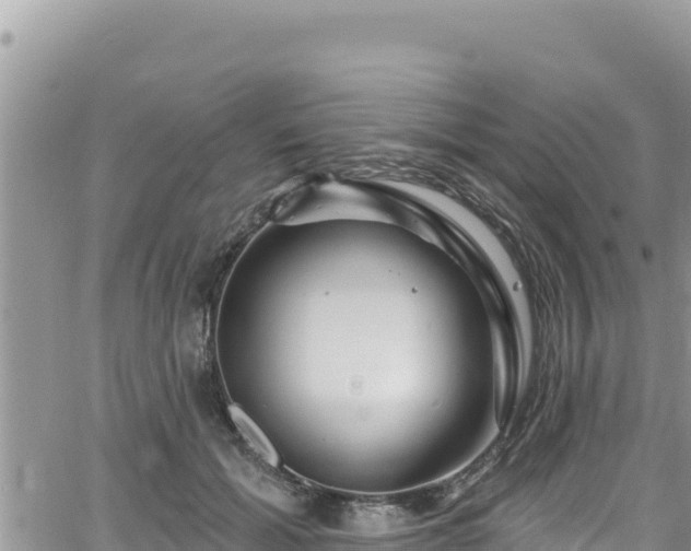 X0000065260605200602211252