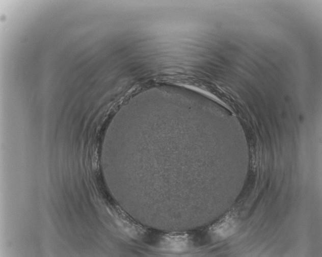 X0000065260606200602211252