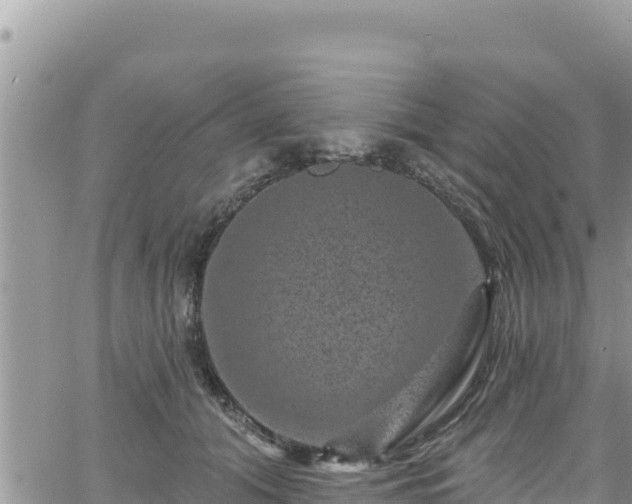 X0000065260608200602211251