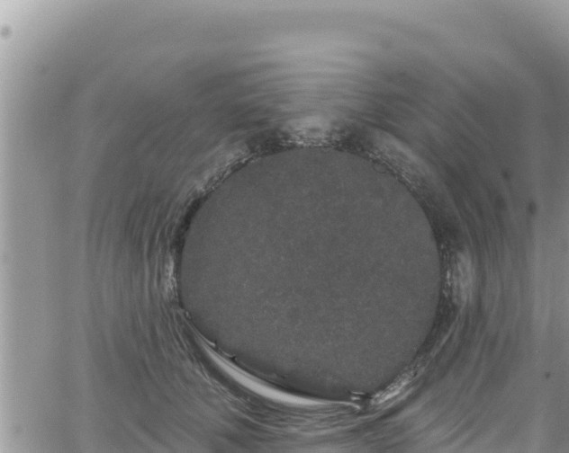 X0000065260610200602211251