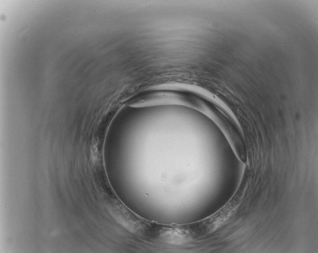 X0000065260611200602211251