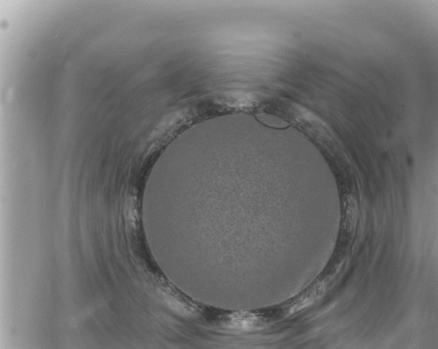 X0000065260612200602211251