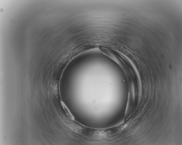 X0000065260613200602211251