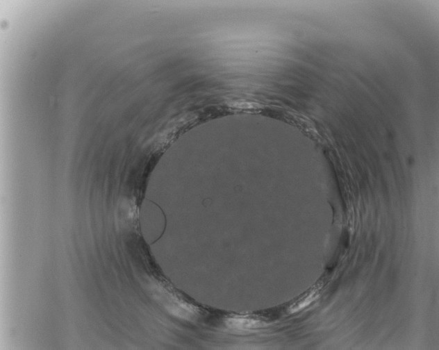 X0000065260614200602211251