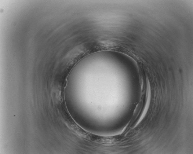 X0000065260615200602211251