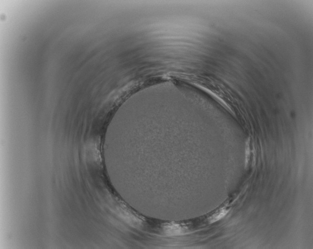 X0000065260616200602211251