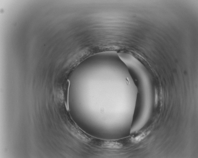 X0000065260617200602211251