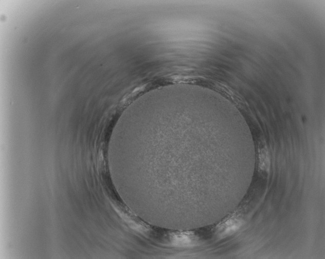 X0000065260618200602211251