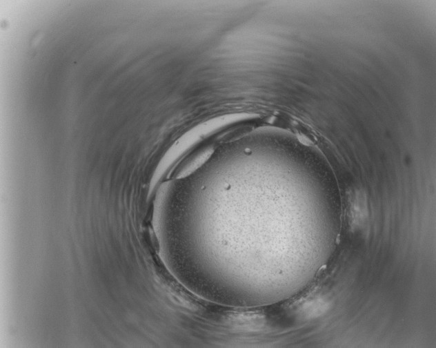 X0000065260619200602211251