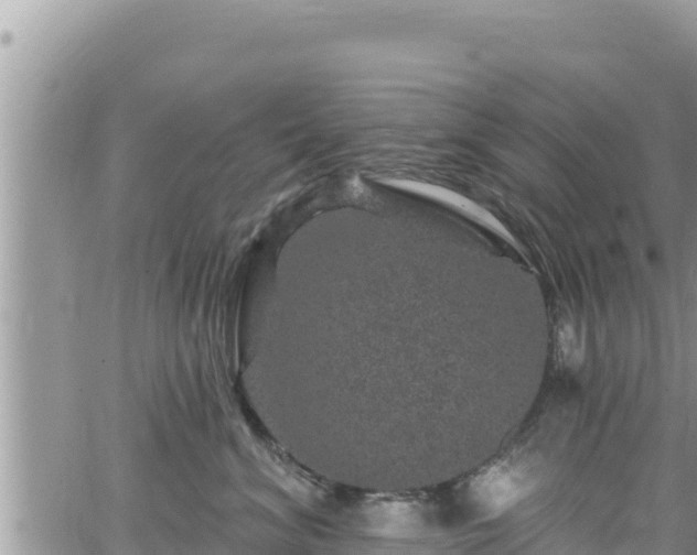 X0000065260620200602211251