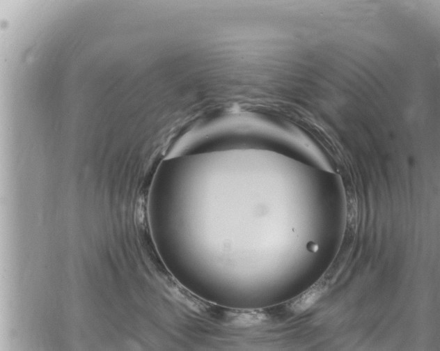 X0000065260621200602211251