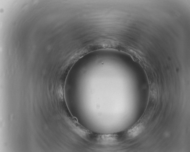 X0000065260622200602211251