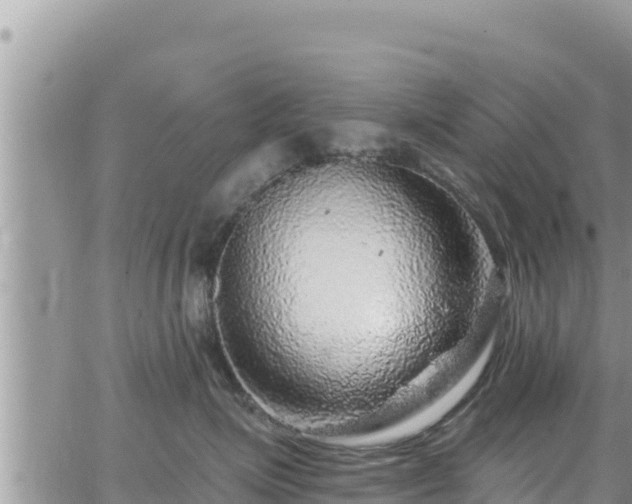 X0000065260623200602211251