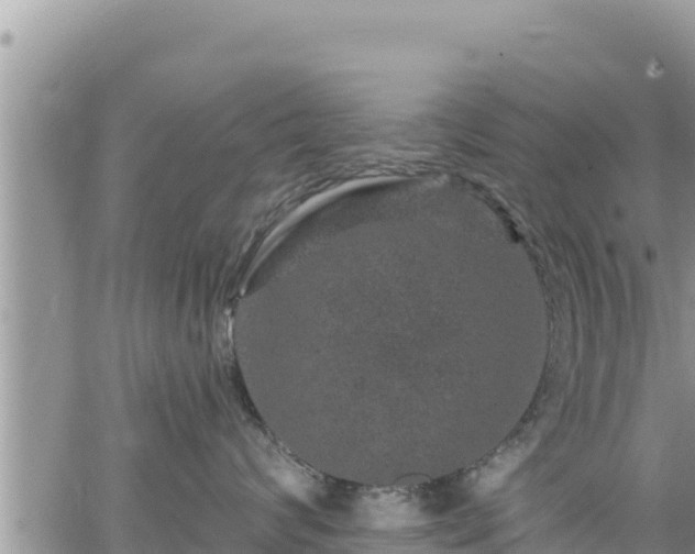 X0000065260624200602211251