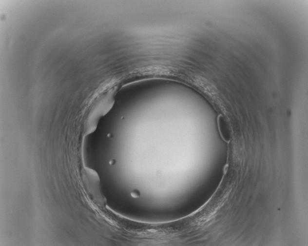 X0000065260625200602211250