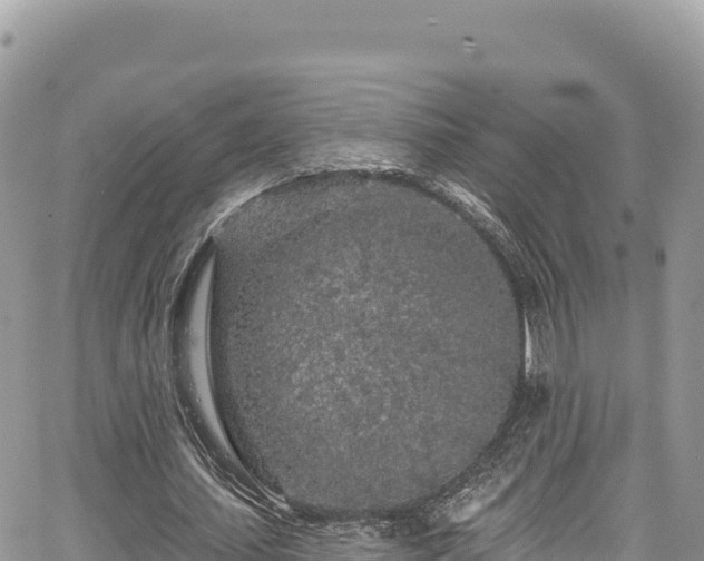 X0000065260627200602211250