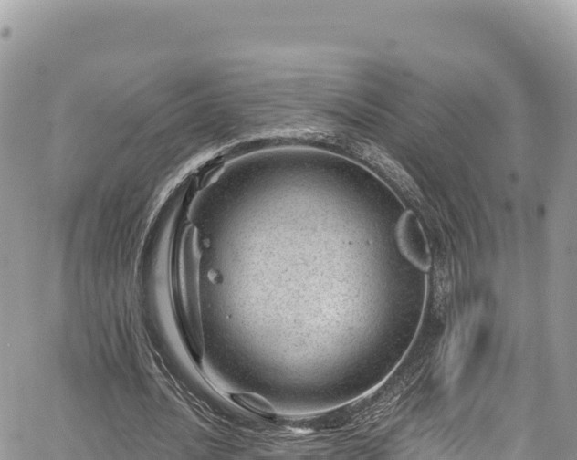 X0000065260628200602211251