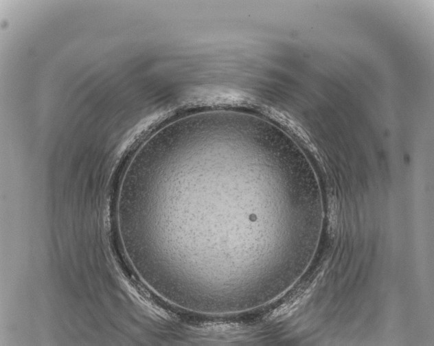 X0000065260629200602211251