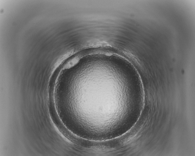 X0000065260630200602211251