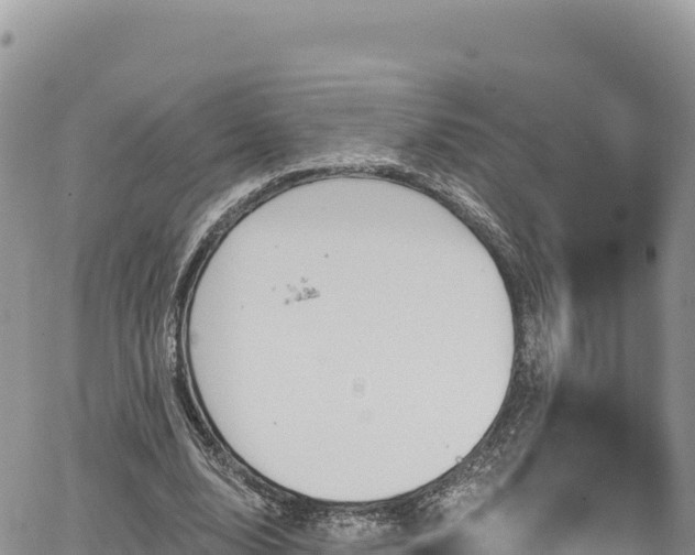 X0000065260632200602211251