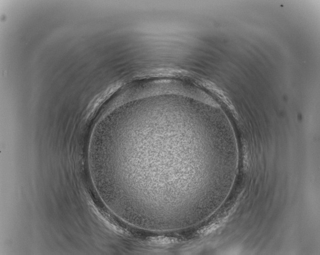 X0000065260633200602211251