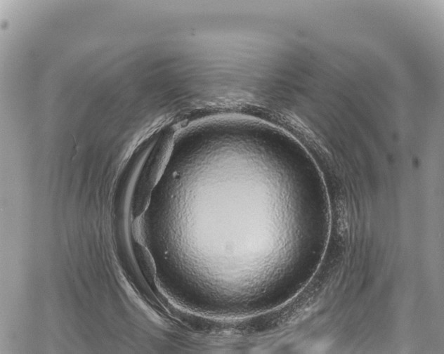 X0000065260634200602211251