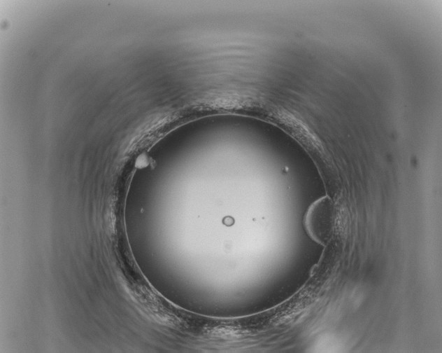 X0000065260635200602211251