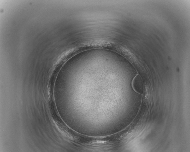 X0000065260636200602211251