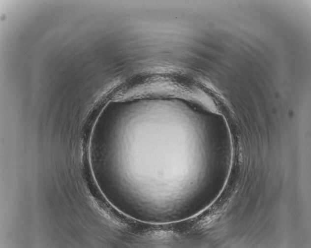 X0000065260637200602211251