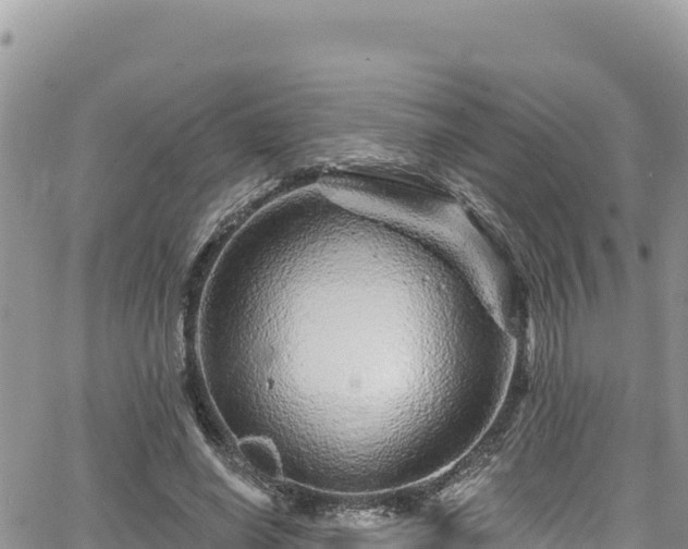 X0000065260638200602211251