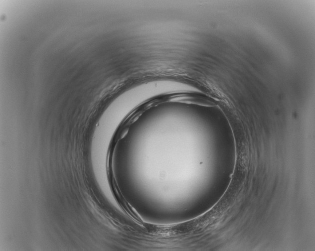 X0000065260639200602211251