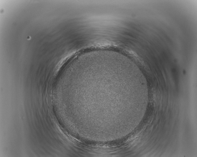 X0000065260640200602211251