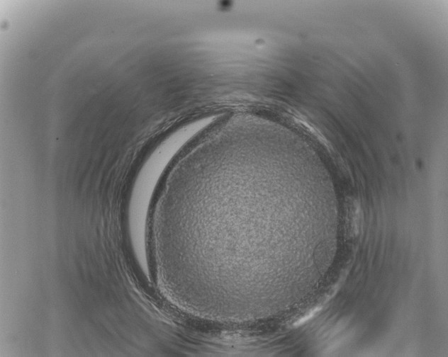 X0000065260641200602211251