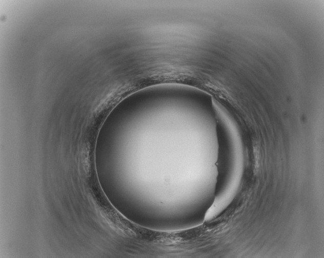 X0000065260642200602211251