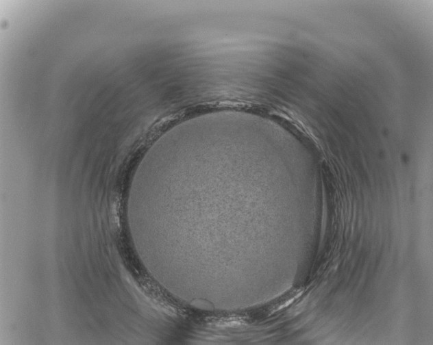 X0000065260643200602211251