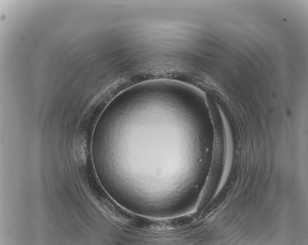 X0000065260644200602211251