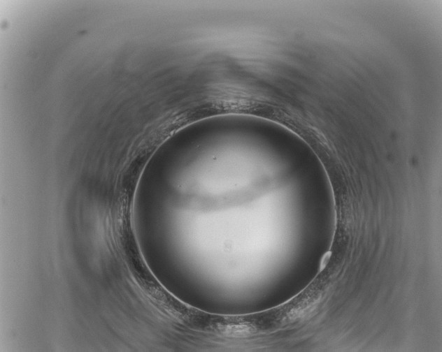 X0000065260645200602211251