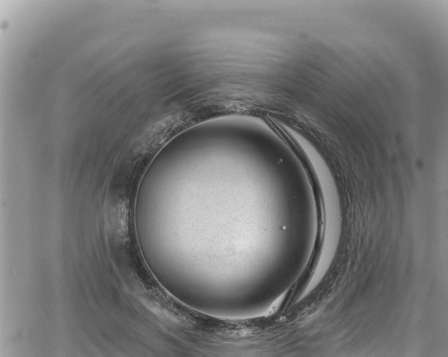 X0000065260646200602211251