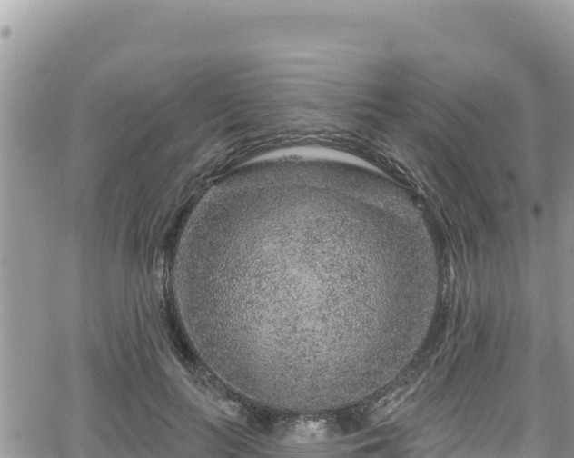 X0000065260647200602211251