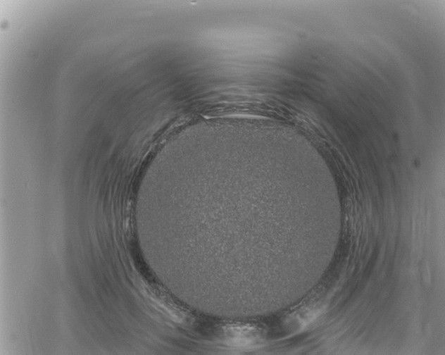 X0000065260650200602211251