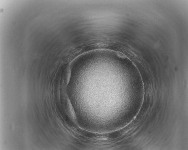 X0000065260651200602211251