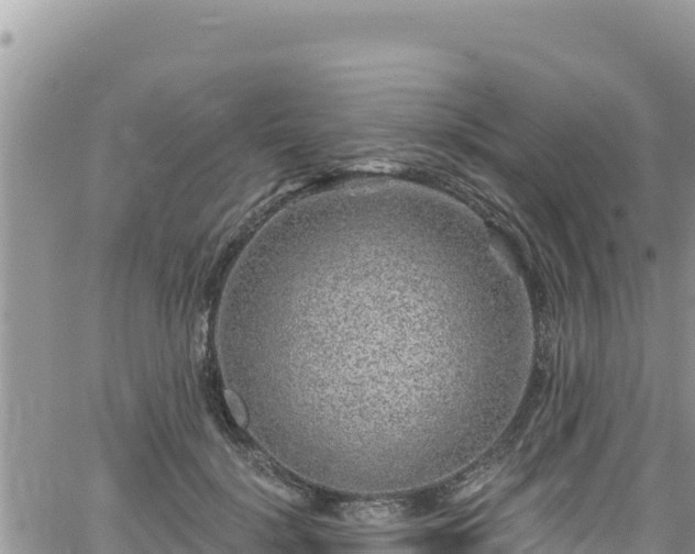 X0000065260652200602211251