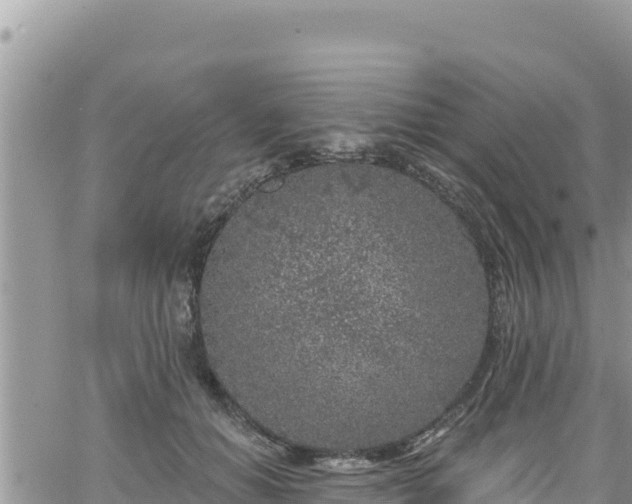 X0000065260654200602211251